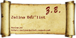 Zelina Bálint névjegykártya